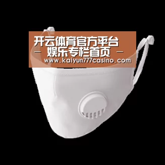 N95 口罩