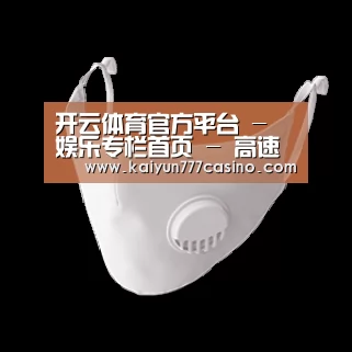 N95 口罩