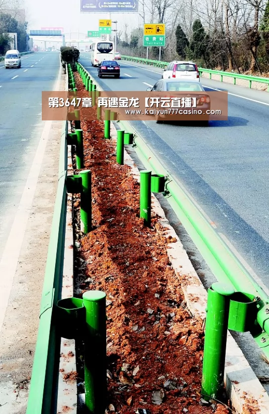 第3647章 再遇金龙【开云直播】(图2) 开云体育