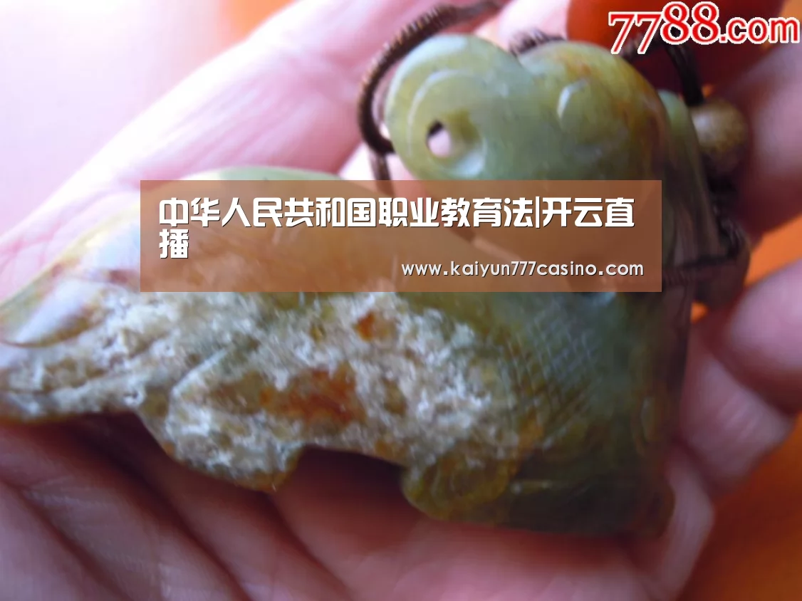 中华人民共和国职业教育法|开云直播(图2) 开云快讯