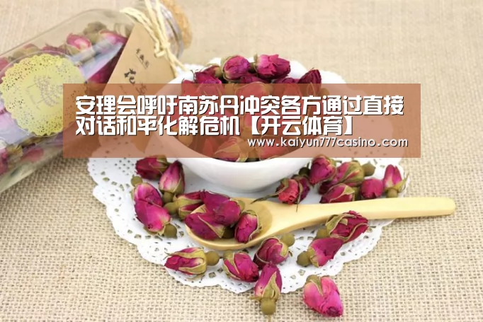 安理会呼吁南苏丹冲突各方通过直接对话和平化解危机【开云体育】(图3) 开云体育