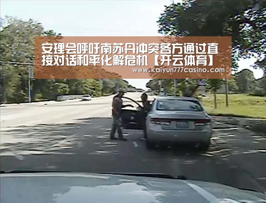 安理会呼吁南苏丹冲突各方通过直接对话和平化解危机【开云体育】(图4) 开云体育