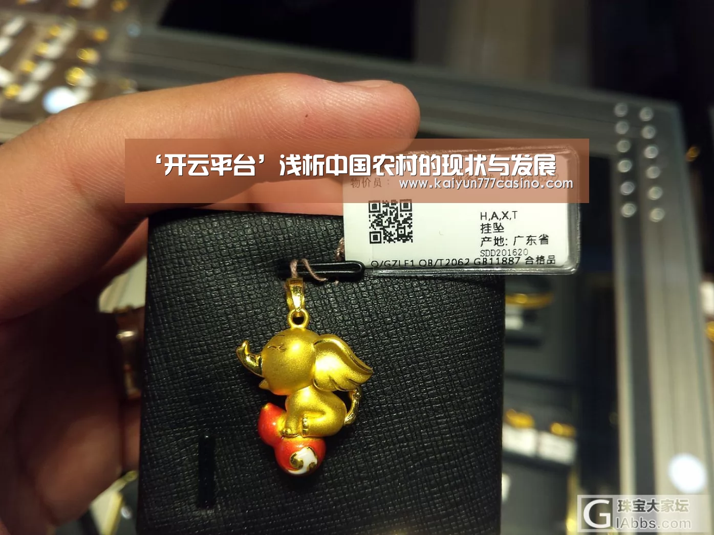 ‘开云平台’浅析中国农村的现状与发展(图4) 开云快讯