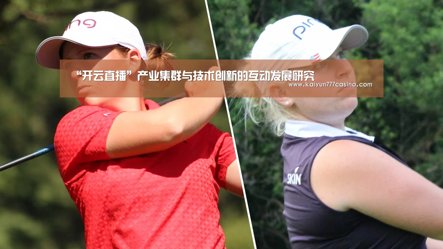 “开云直播”产业集群与技术创新的互动发展研究(图1) 开云体育