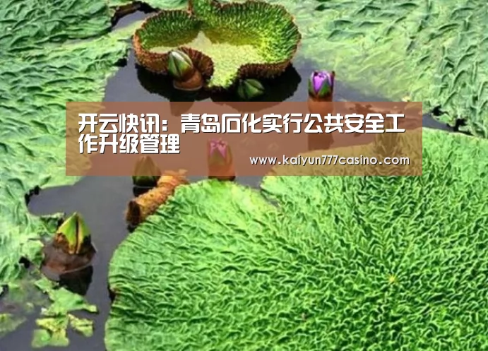 开云直播