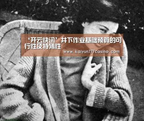 ‘开云快讯’井下作业基础预算的可行性及特殊性(图4) 开云平台