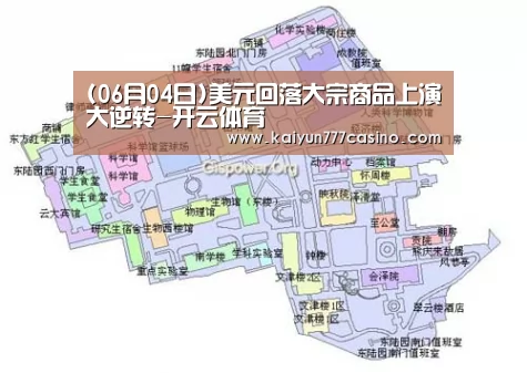 (06月04日)美元回落大宗商品上演大逆转-开云体育(图1) 开云直播